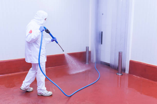 Pre-Holiday Cleaning in West Hills, NY